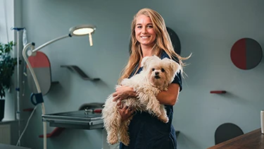 Dieren opleidingen
